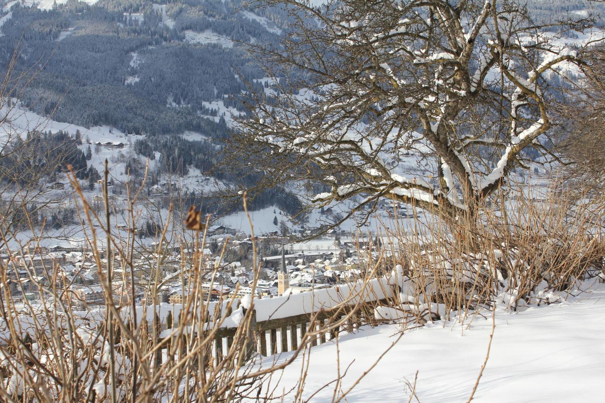 Vila Bauernhof Grussberggut Bad Hofgastein Exteriér fotografie