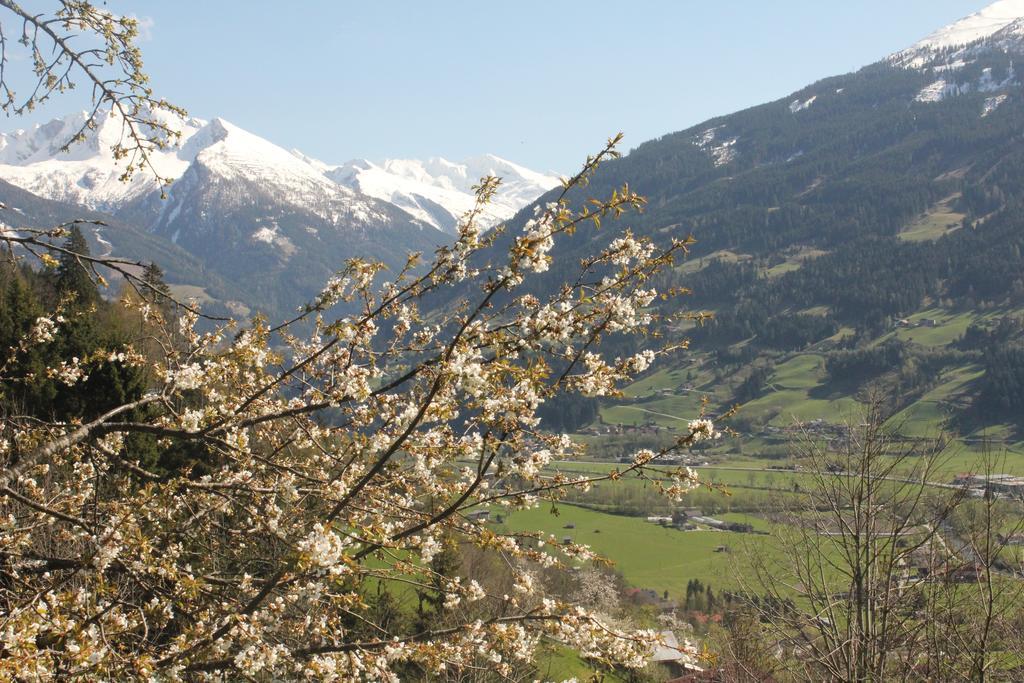 Vila Bauernhof Grussberggut Bad Hofgastein Exteriér fotografie